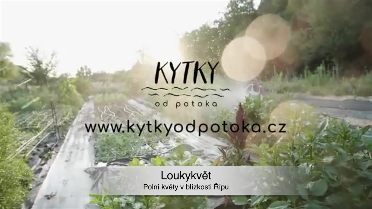 Kytky pro zdraví