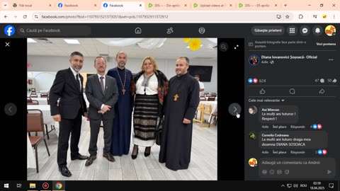DIS--- - 13 aprilie 2025 - Vizualizarea paginii
