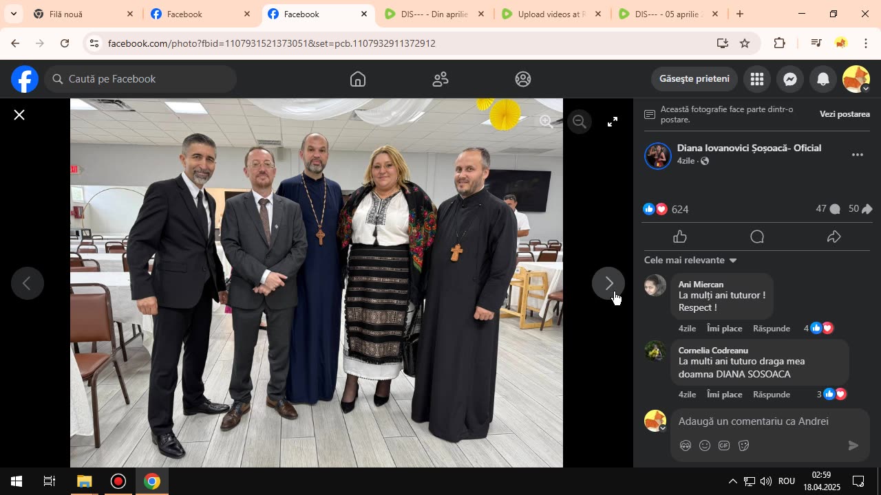DIS--- - 13 aprilie 2025 - Vizualizarea paginii