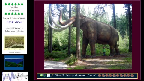 Music, Mammoths and Gaming