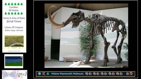 Music, Mammoths and Gaming