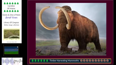 Music, Mammoths and Gaming