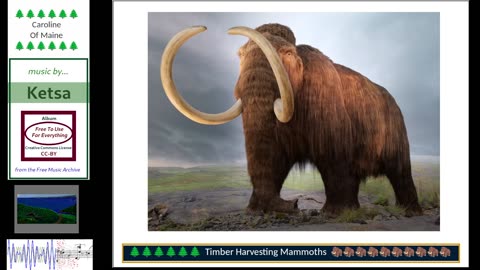 Music, Mammoths and Gaming