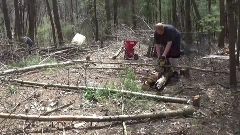 Helping my friends on there homestead with some chainsaw work