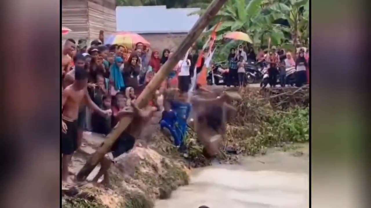 LOL
