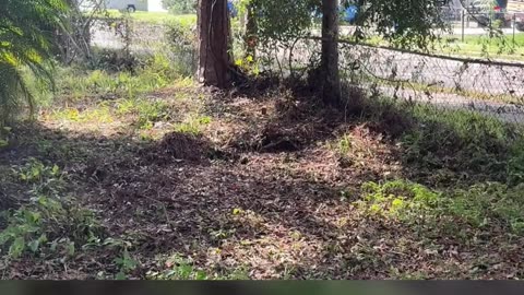 NIGHTMARE CLEANUP: Couple Lends Mower to Friend—Now It's Broken P2