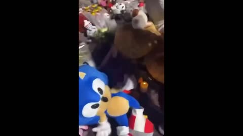 🇳🇱‼️ Absolutely disgusting video from the Netherlands.