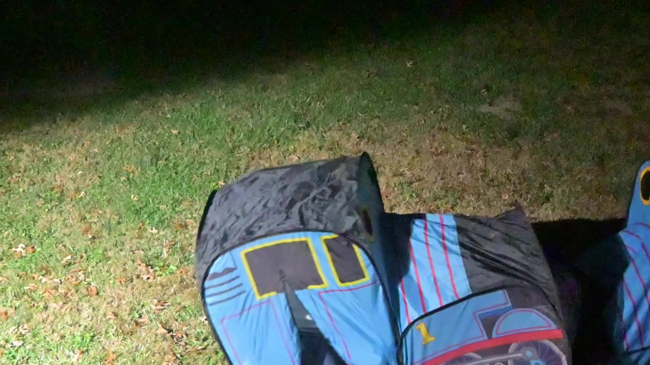 Thomas vs Thomas