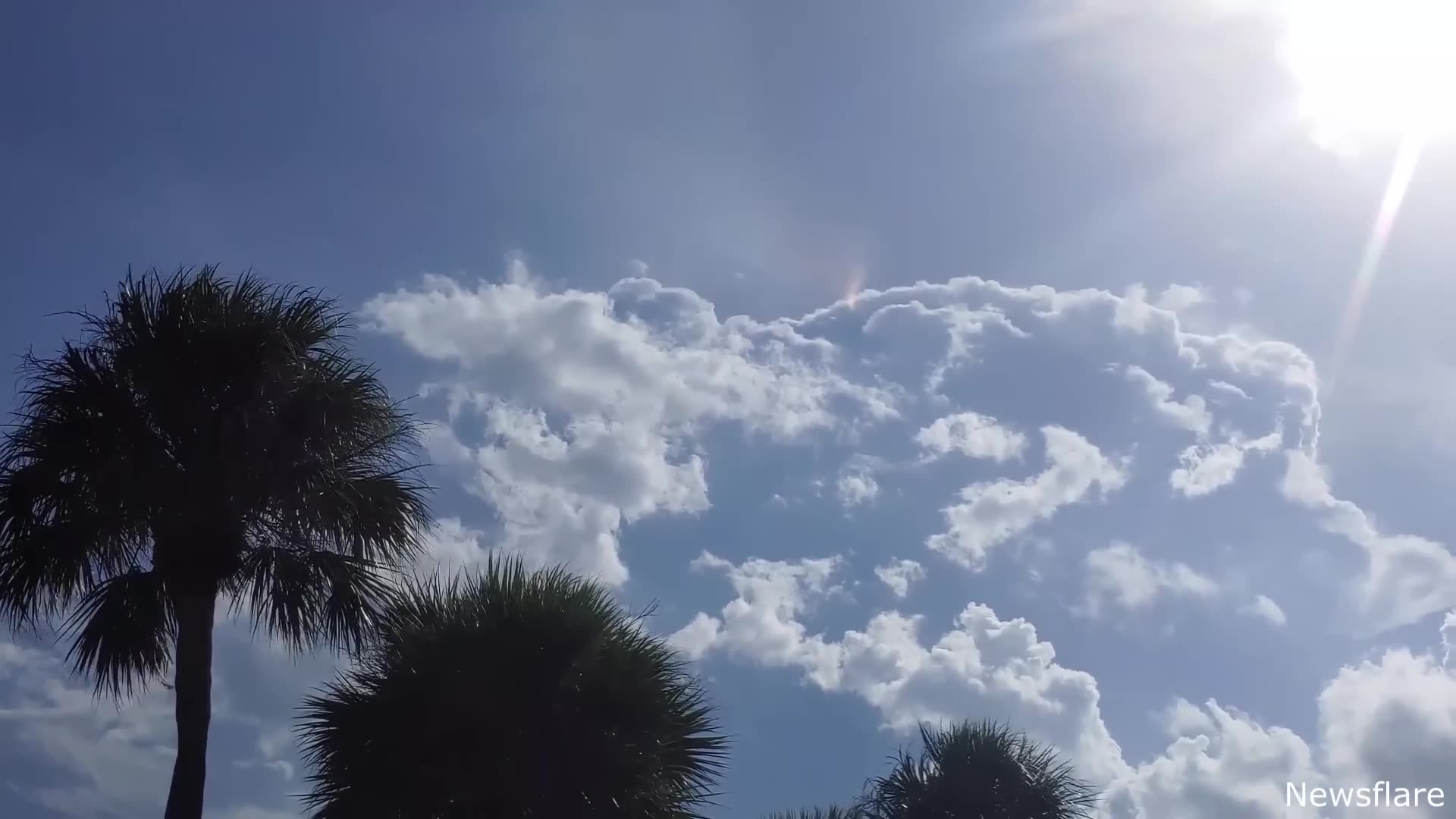 Wildest Nature Moments Caught on Camera ππ±