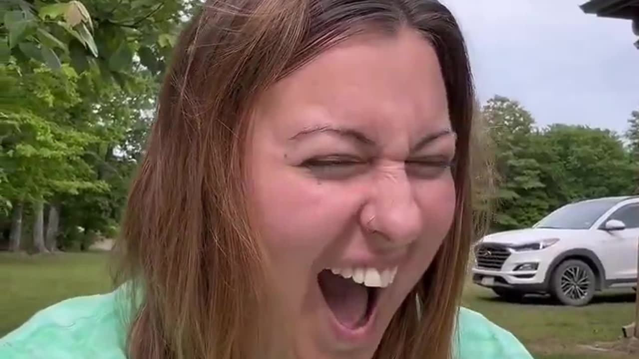 Video Going Viral Of Bird Trying To Build Nest In Someone's head