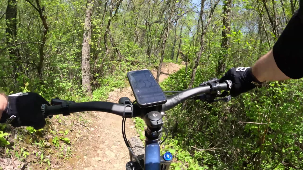 Anaconda - Saw Wee Kee Park - Oswego - Illinois