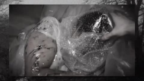 #creepy #paranormal #horrortok #horror