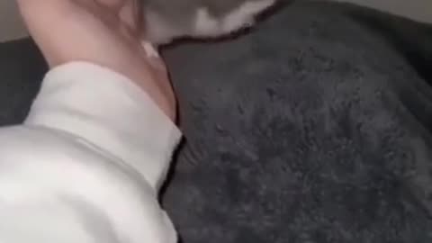 🐭👀 Mouse vs. [Mouse's Envir.]! Who Wins? | FunFM