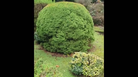 Living in a UK migrant hotel