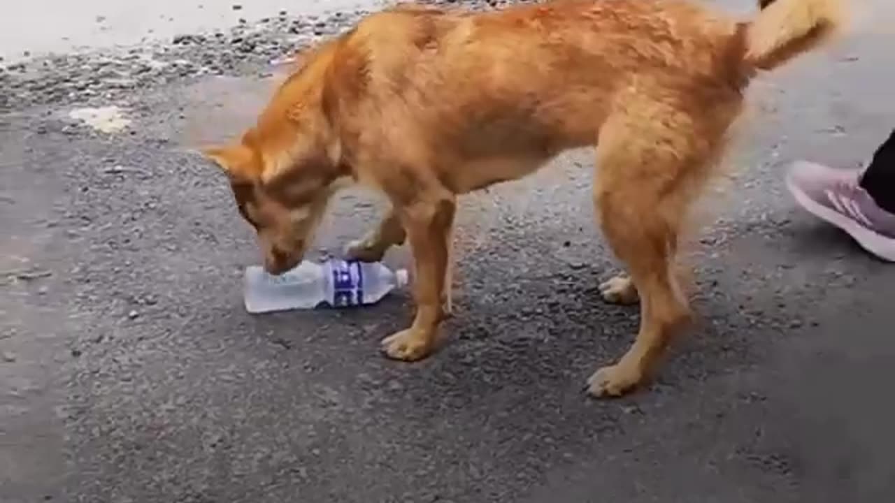Nothing else matters more — be kind