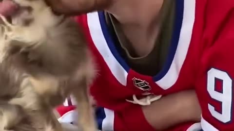 Funny dog moments 79