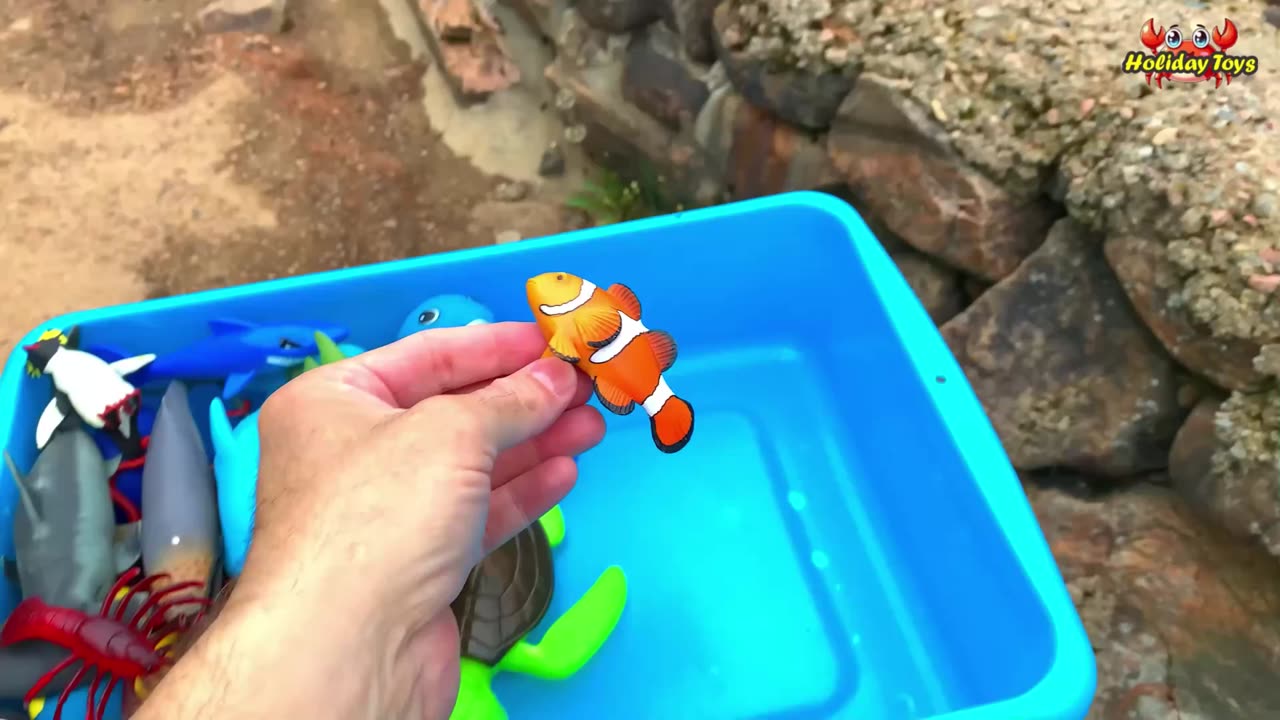 Red Shrimp Can not Swim in the River Because of Injured Legs