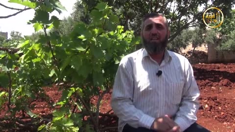 خواطر شامية أفضل من ذي يزن