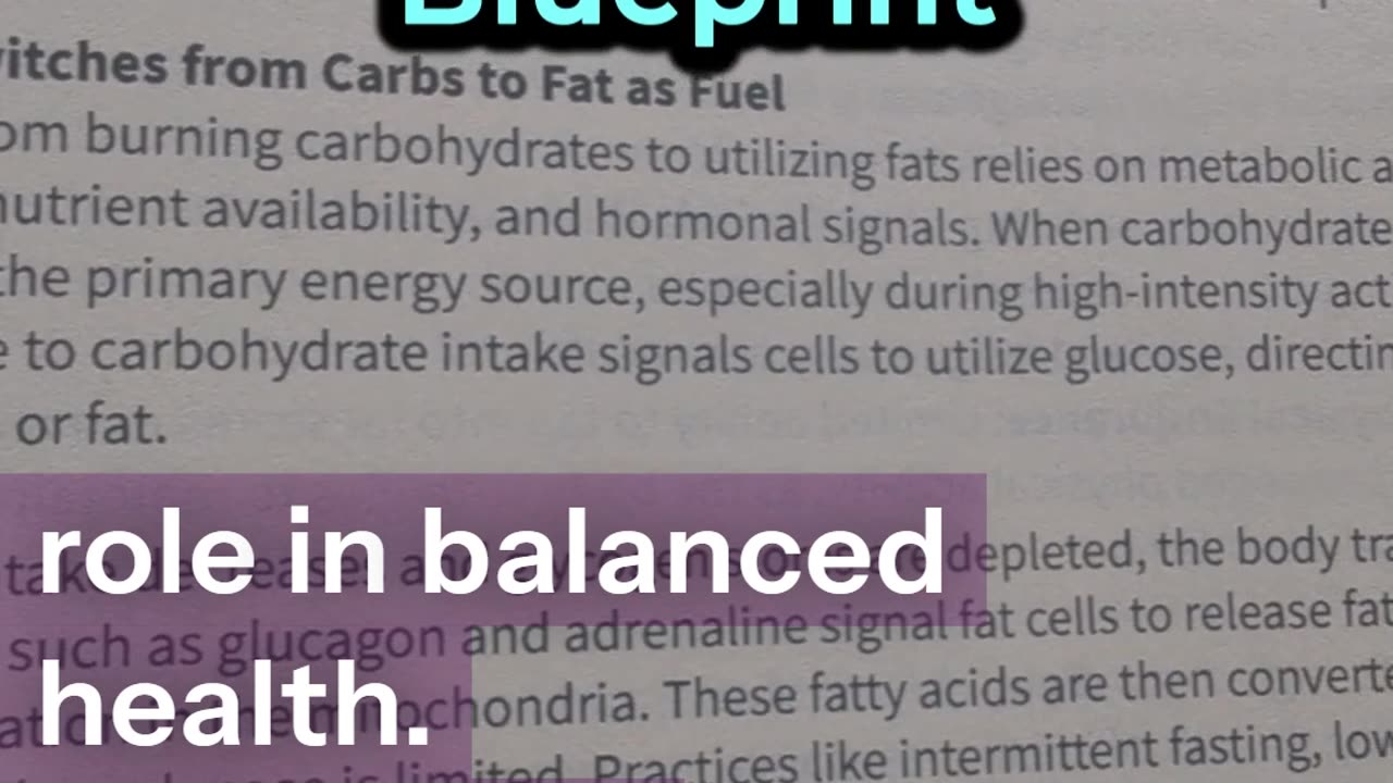 Day 19 – Metabolic Flexibility: The Key to Balanced Energy