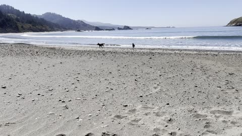 fun at the beach 29084209842