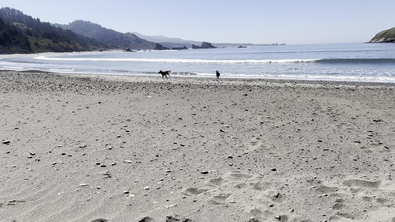 fun at the beach 29084209842