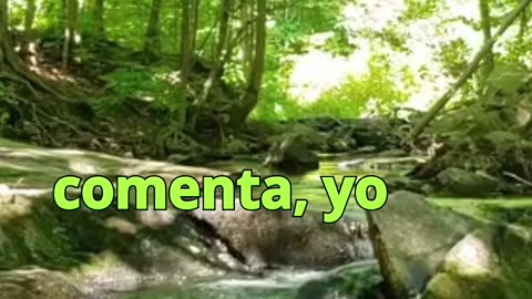 😊 228 NO ESPERES QUE EL UNIVERSO LO HAGA POR TI 😊