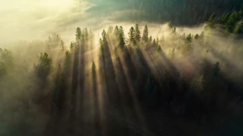 Cosmic Light of Resilience - A Poem written by Eagle Son - Voiced by Rolf