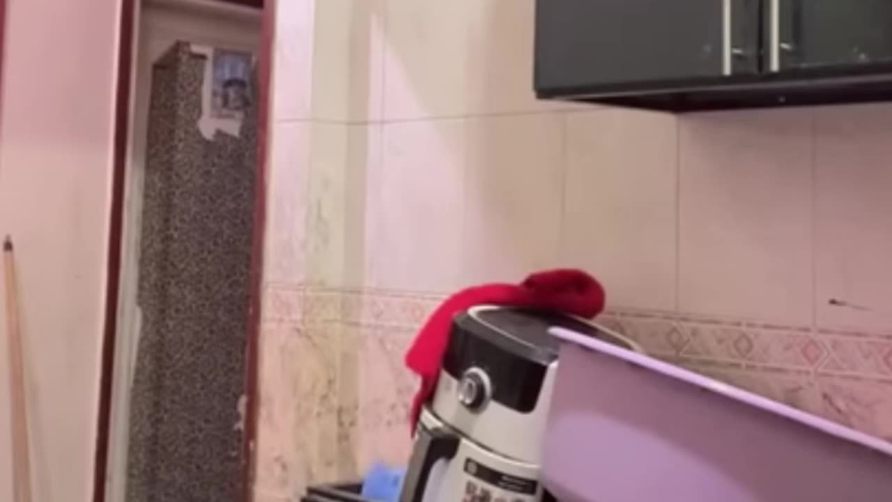 My Daily Routine in kitchen 😱🤩😲