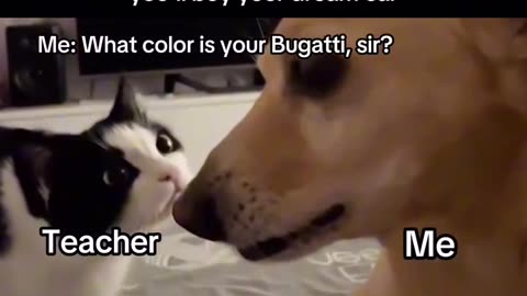 Funny Tate Meme