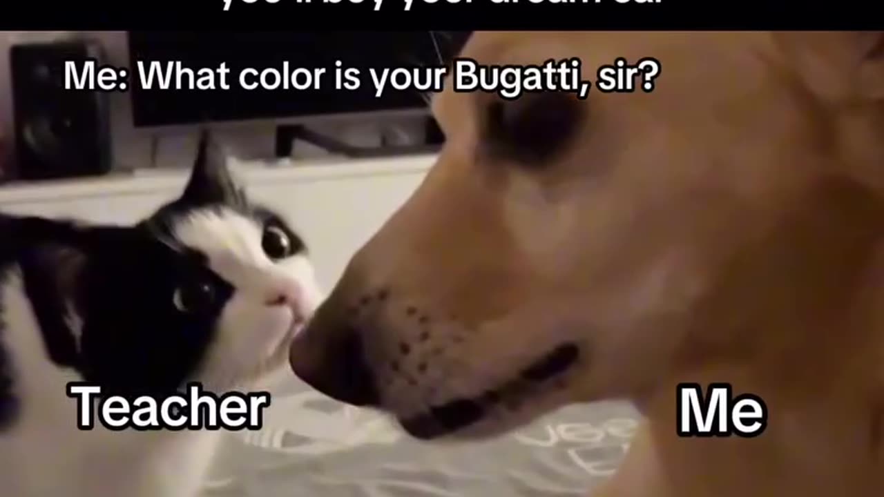 Funny Tate Meme