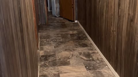 Boyfriend Pranked With Baby Oil On Floor