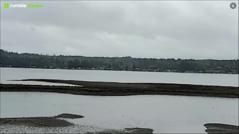 Nice day on the water