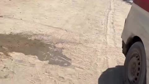 Civil Defense crews: A new massacre committed by the occupation forces