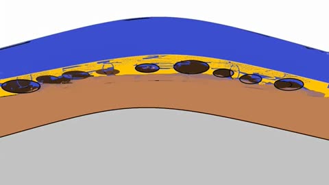 Where does oil come from?