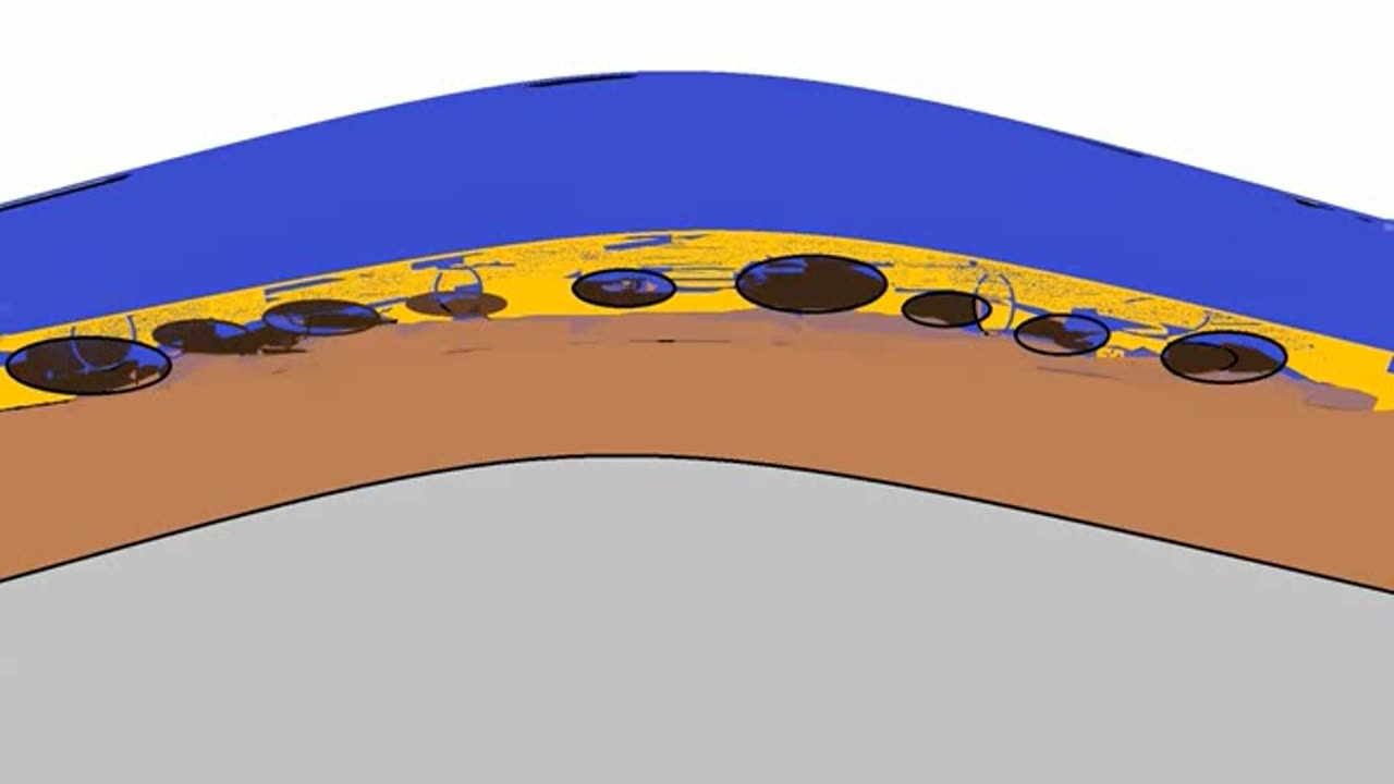 Where does oil come from?