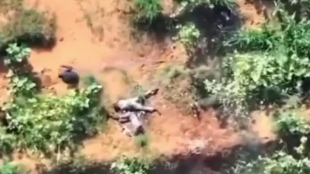 🚁💥 Sudan War | SAF Drone Strike on Janjaweed Militants in Kordofan | RCF