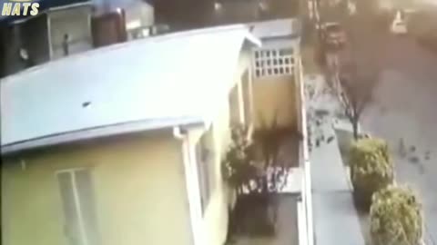 Something caused hundreds of birds to fall from the sky at the same time