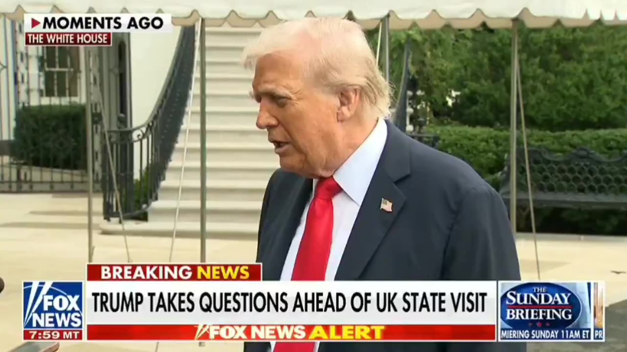 Fani Willis is a criminal and she should be put in jail