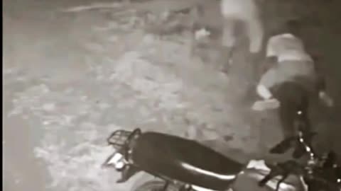 Robbery & Murder