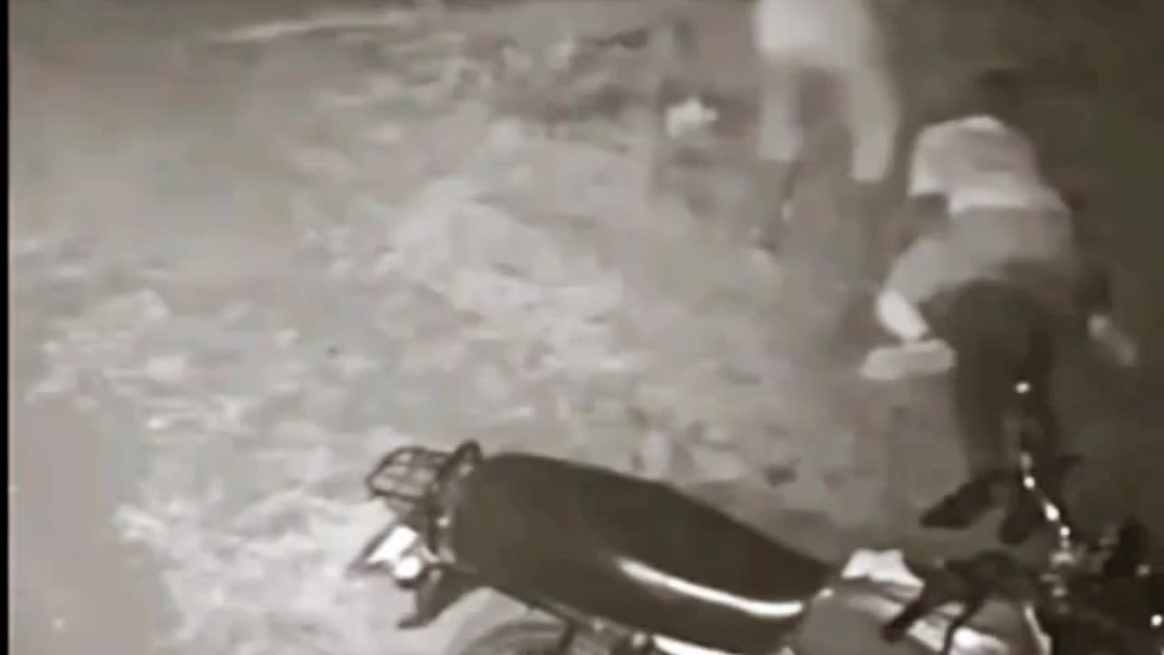 Robbery & Murder