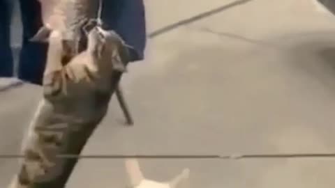 😁😁😁😁😁