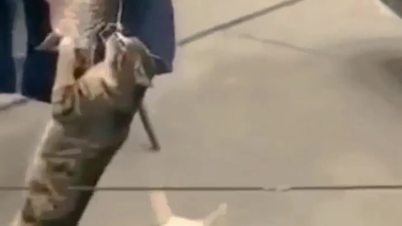 😁😁😁😁😁
