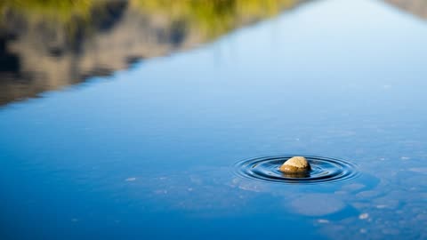 Understanding Your Emotions The Path to Emotional Intelligence