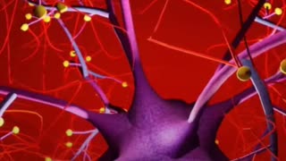 Nerve Repair: Restoring Signals in the Central Nervous System