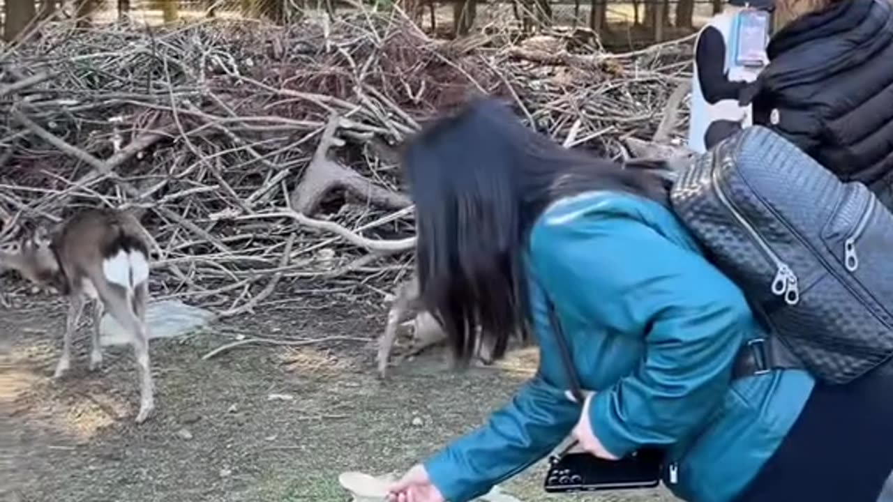 “Duplícalo y dáselo a la siguiente persona