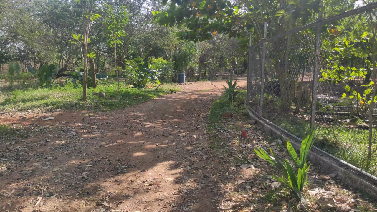 Animaya - Mérida - Yucatán - 4K - Parte 3
