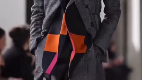 A cat taking part in a fashion show