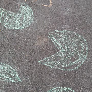 Summer Fun for the KIDS