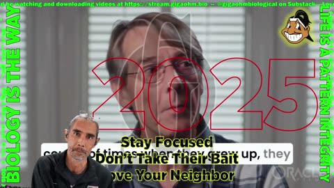 Gigaohm Biological High Resistance Low Noise Information Brief