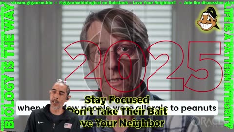 Gigaohm Biological High Resistance Low Noise Information Brief